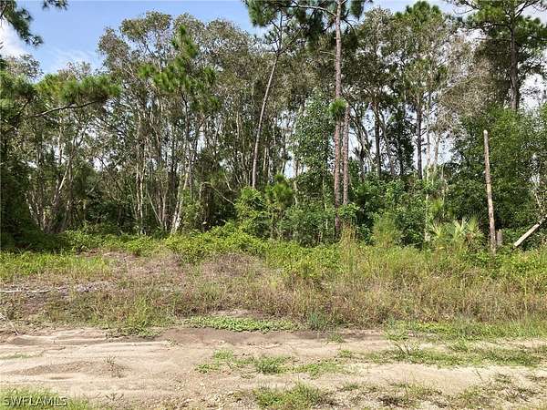 0.2 Acres of Commercial Land for Sale in Lehigh Acres, Florida