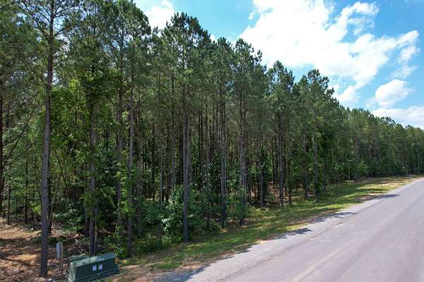 1.33 Acres of Residential Land for Sale in Jasper, Tennessee