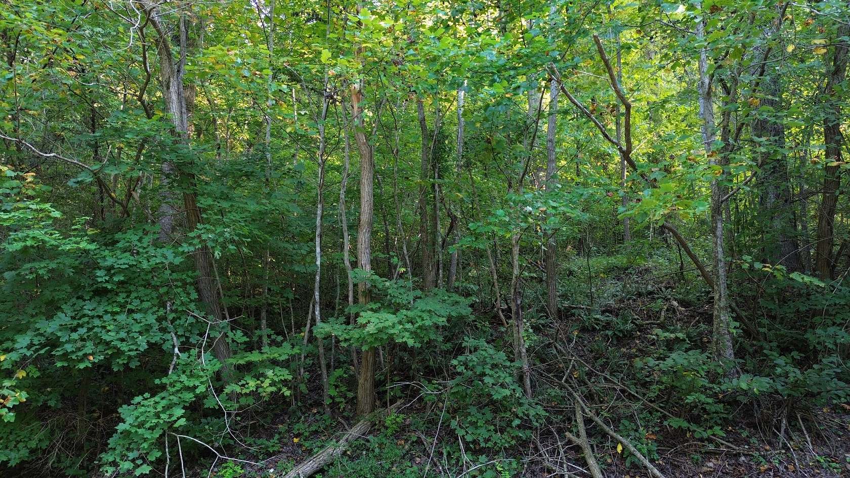 1.76 Acres of Residential Land for Sale in Lancaster, Tennessee