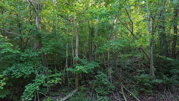 1.76 Acres of Residential Land for Sale in Lancaster, Tennessee