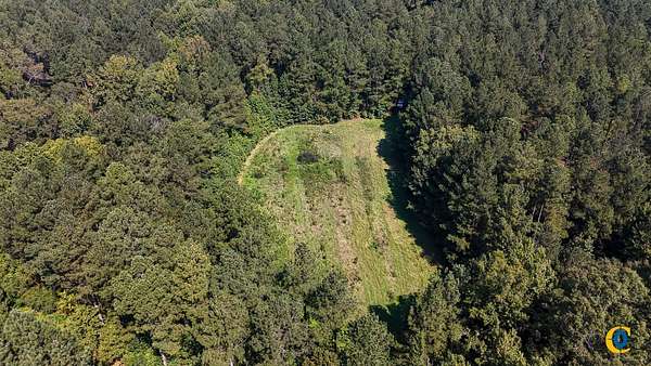 317 Acres of Recreational Land for Sale in Union, South Carolina