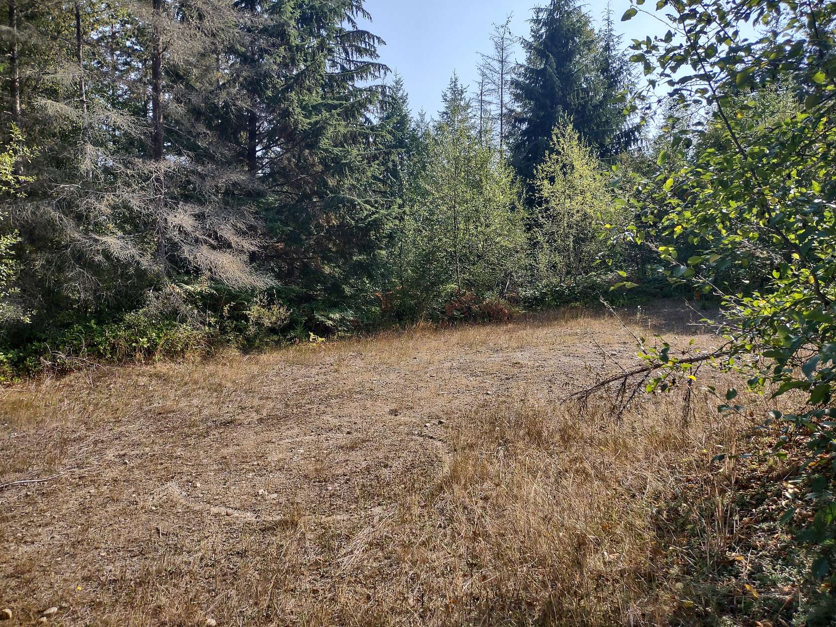 5 Acres of Residential Land for Sale in Agnew, Washington