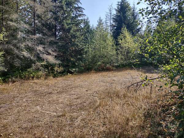 5 Acres of Residential Land for Sale in Agnew, Washington