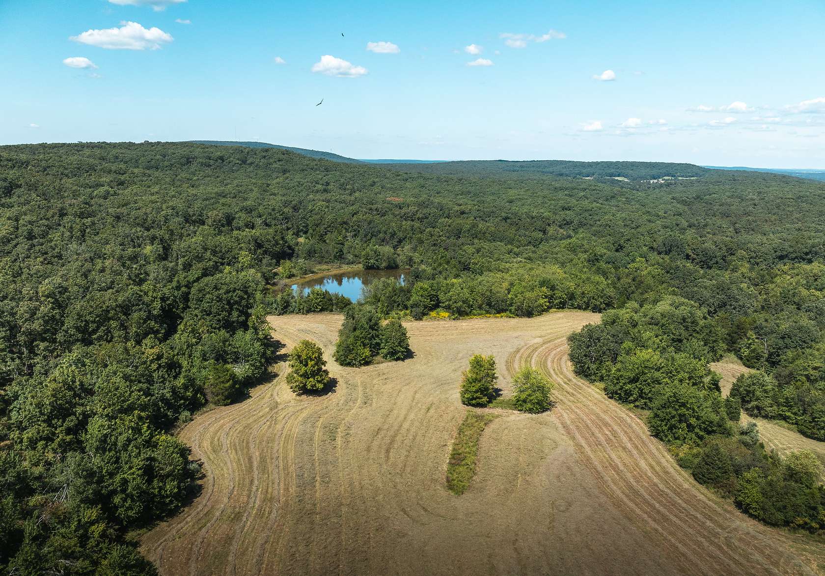 475 Acres of Land for Sale in Ironton, Missouri