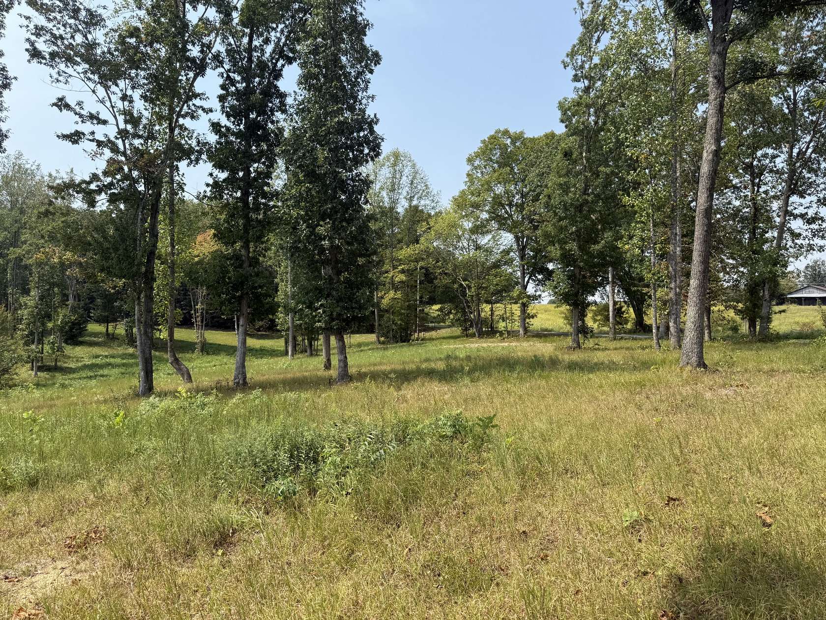 3 Acres of Residential Land for Sale in Red Boiling Springs, Tennessee