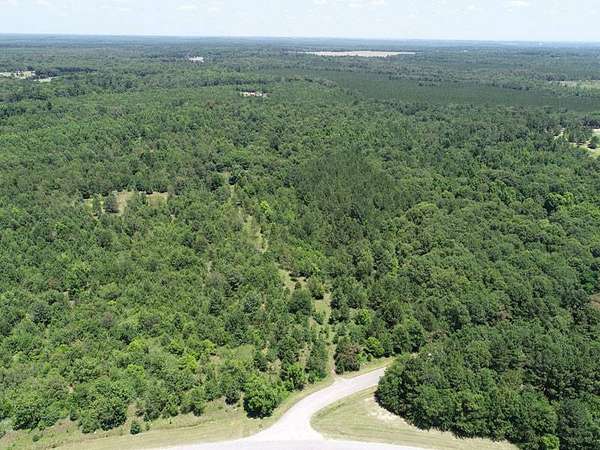 26 Acres of Agricultural Land for Sale in Blythe, Georgia