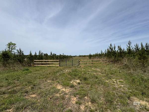 5.25 Acres of Residential Land for Sale in Robertsdale, Alabama