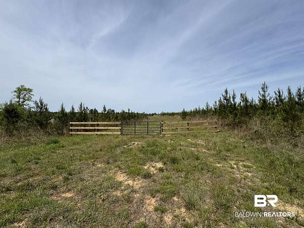 5.25 Acres of Residential Land for Sale in Robertsdale, Alabama