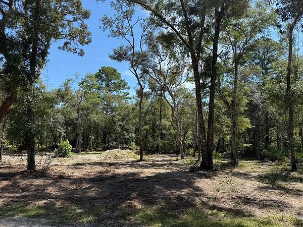 0.23 Acres of Land for Sale in Old Town, Florida