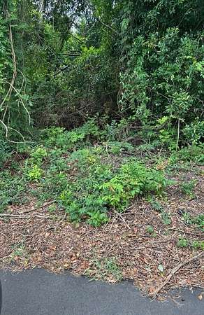 Land for Sale in North Augusta, South Carolina