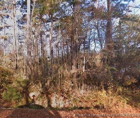 1 Acre of Land for Sale in Selma, North Carolina