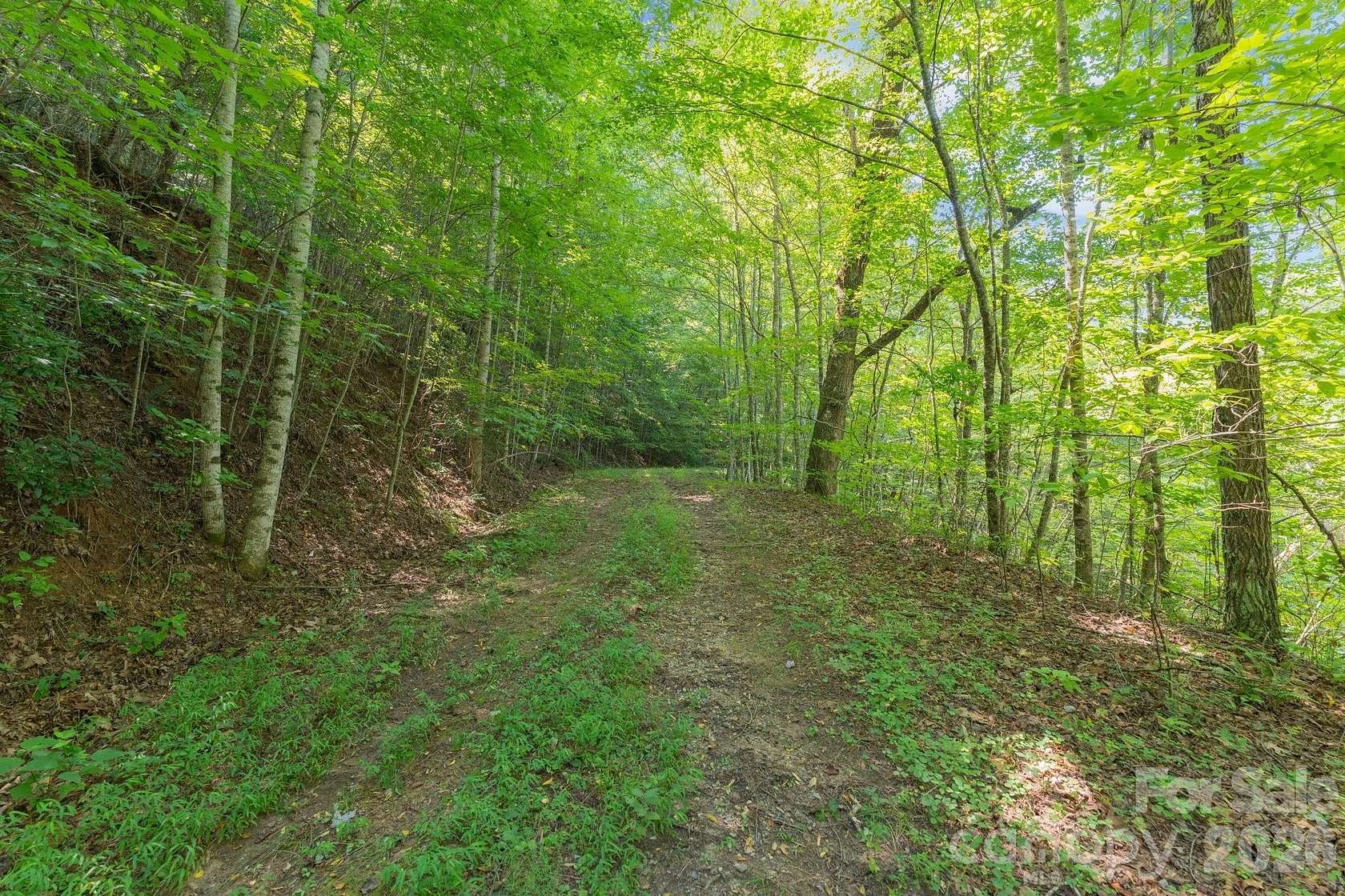 95.3 Acres of Recreational & Residential Land for Sale in Bryson City, North Carolina