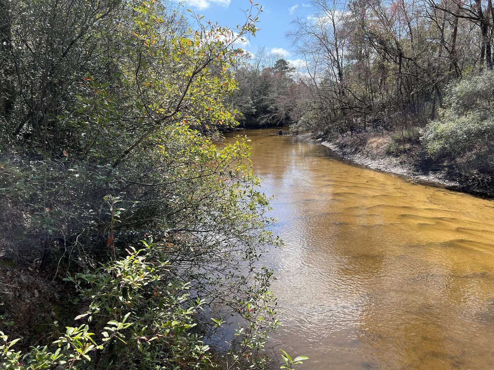 9.54 Acres of Residential Land for Sale in DeFuniak Springs, Florida