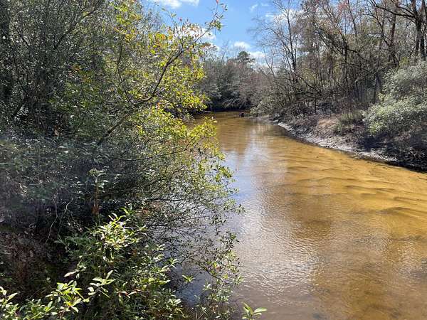 9.54 Acres of Residential Land for Sale in DeFuniak Springs, Florida