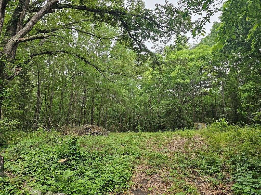 0.52 Acres of Residential Land for Sale in Henderson, Texas