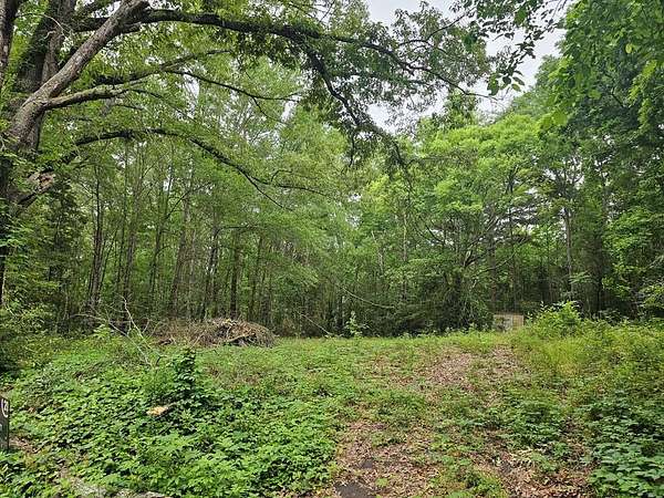 0.52 Acres of Residential Land for Sale in Henderson, Texas