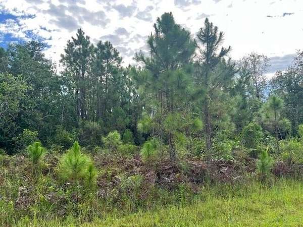 0.25 Acres of Residential Land for Sale in Lake Placid, Florida