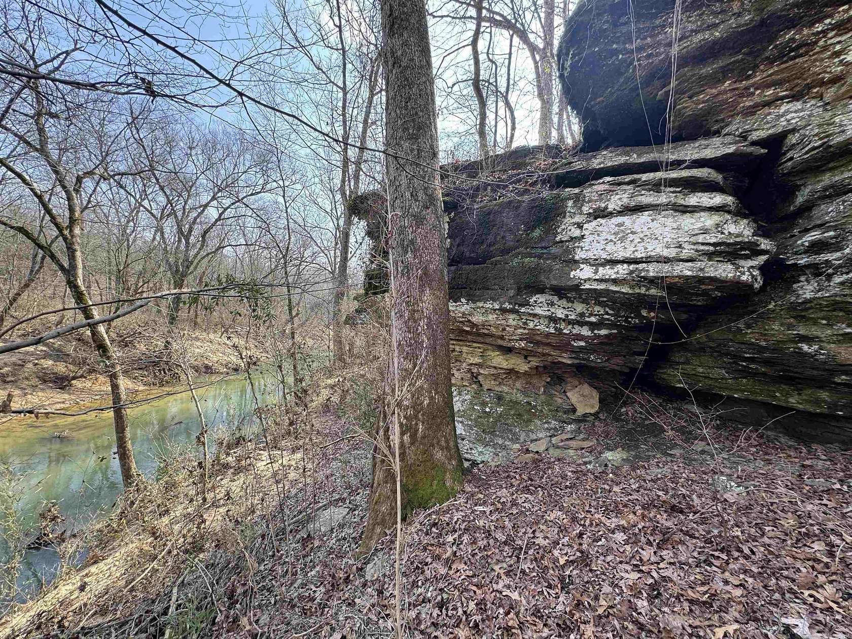 27.6 Acres of Recreational Land for Sale in Bee Branch, Arkansas