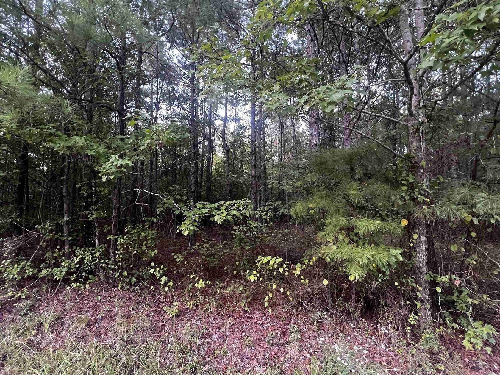 8 Acres of Residential Land for Sale in White Hall, Arkansas
