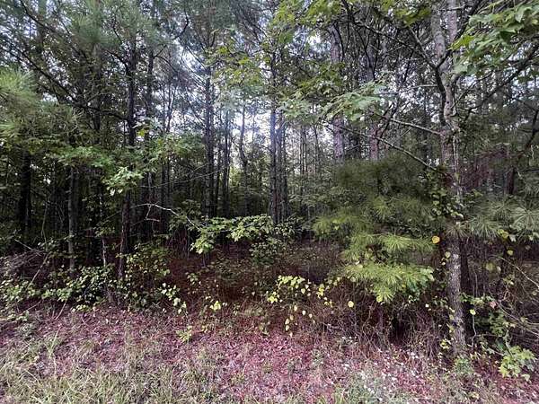 8 Acres of Residential Land for Sale in White Hall, Arkansas