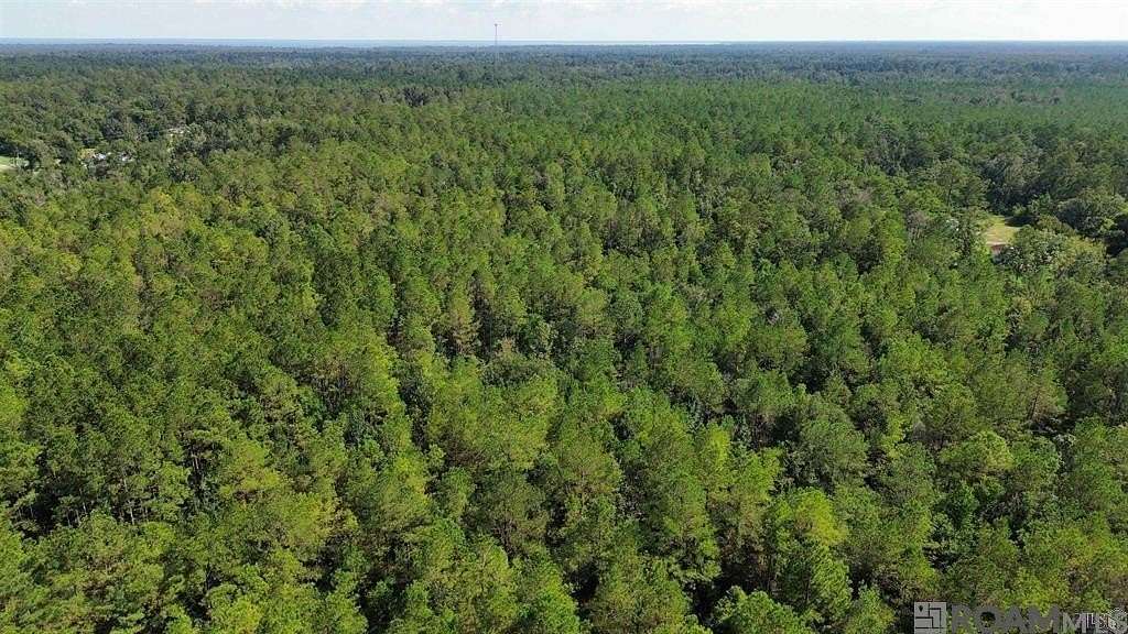 62.3 Acres of Recreational Land for Sale in Killian, Louisiana