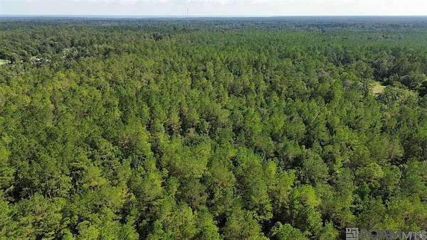 62.3 Acres of Recreational Land for Sale in Killian, Louisiana