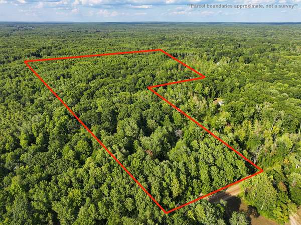 21.5 Acres of Recreational Land for Sale in Lake, Michigan