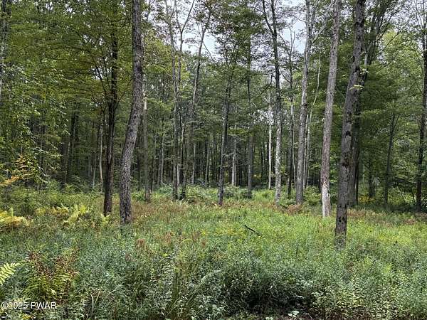 1 Acre of Residential Land for Sale in Waymart, Pennsylvania