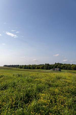 2 Acres of Residential Land for Sale in Rochester, Minnesota