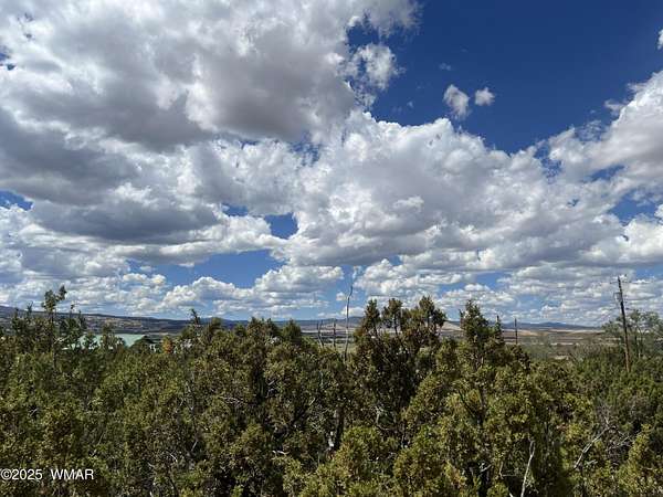 0.46 Acres of Residential Land for Sale in Eagar, Arizona