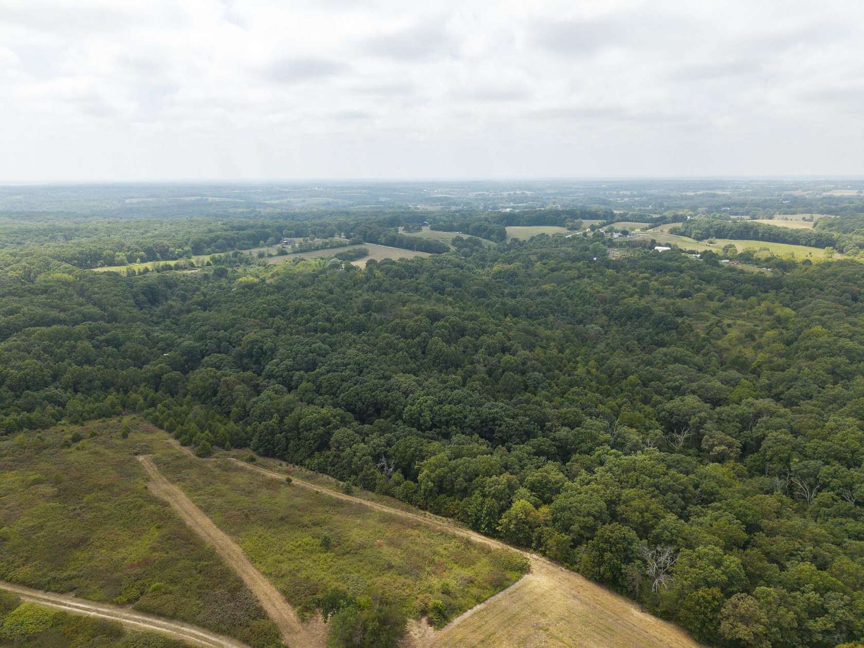 39.9 Acres of Recreational Land for Sale in Clever, Missouri