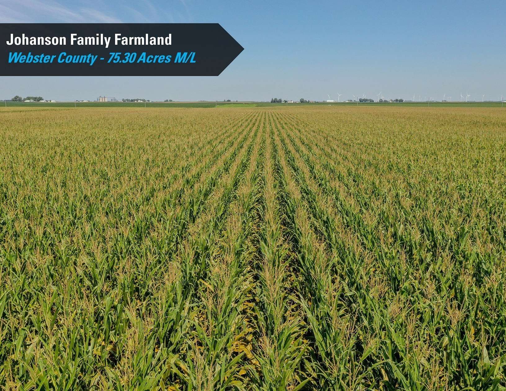 75.3 Acres of Recreational Land & Farm for Auction in Gowrie, Iowa