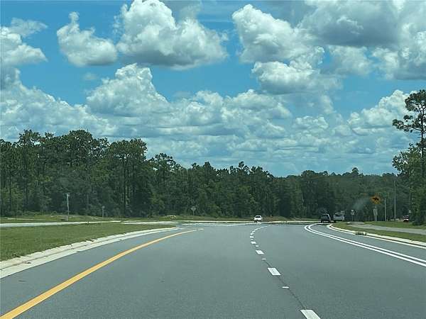 38.2 Acres of Commercial Land for Sale in Interlachen, Florida