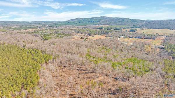 13 Acres of Land for Sale in Piedmont, Alabama
