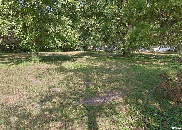 0.29 Acres of Residential Land for Sale in Hurst, Illinois