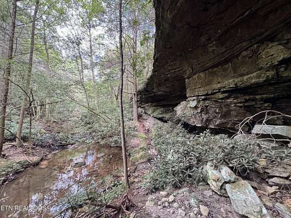 5.84 Acres of Land for Sale in Jamestown, Tennessee