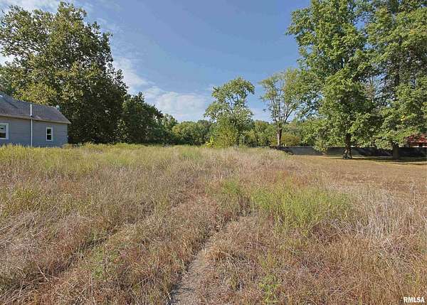 0.16 Acres of Residential Land for Sale in Freeman Spur, Illinois