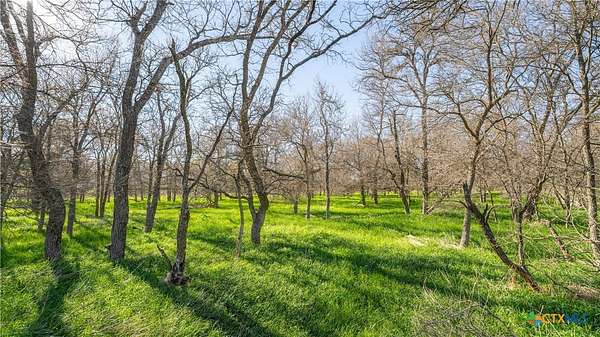 15.9 Acres of Recreational Land for Sale in Buckholts, Texas