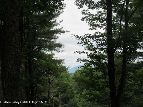 15 Acres of Land for Sale in Lexington, New York