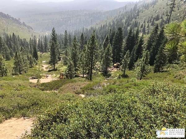 160 Acres of Recreational Land & Farm for Sale in Markleeville, California