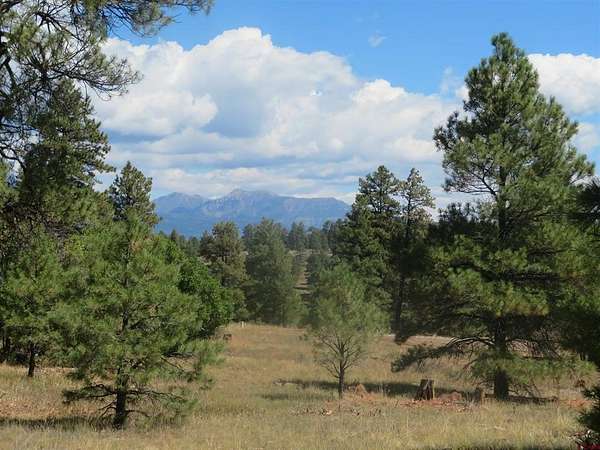 0.23 Acres of Residential Land for Sale in Pagosa Springs, Colorado