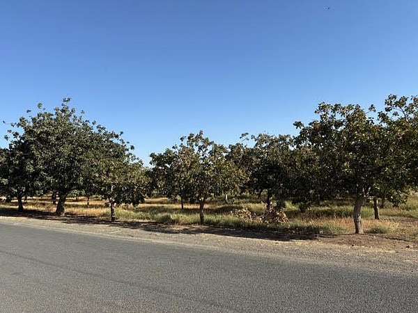 10 Acres of Agricultural Land for Sale in Terra Bella, California