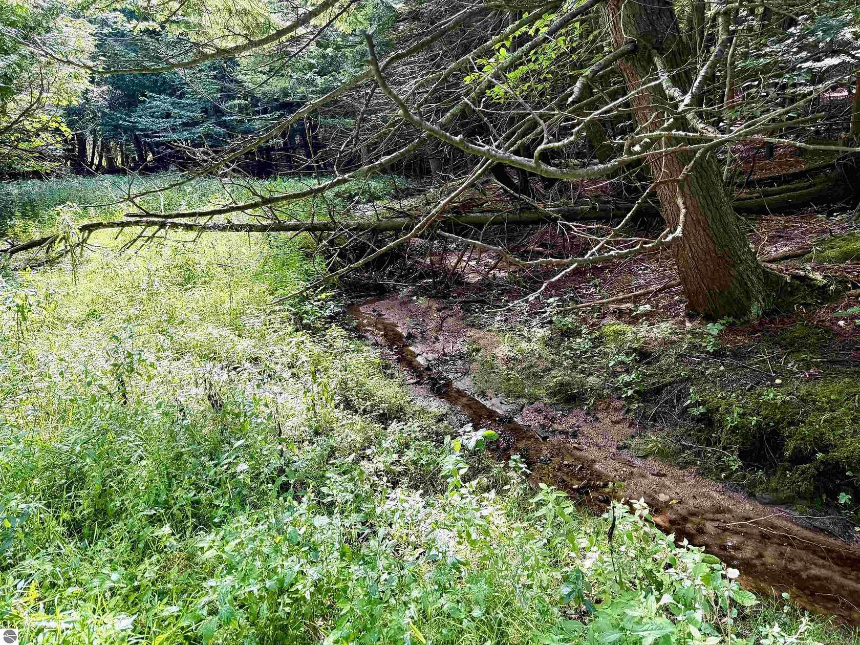 15.6 Acres of Recreational Land for Sale in Maple City, Michigan