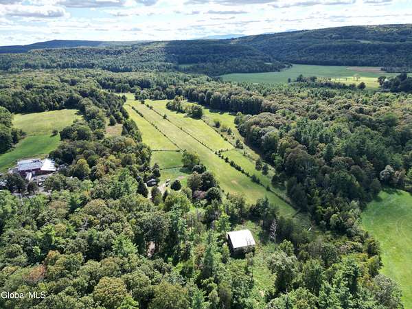 43.1 Acres of Land with Home for Sale in Ravena, New York
