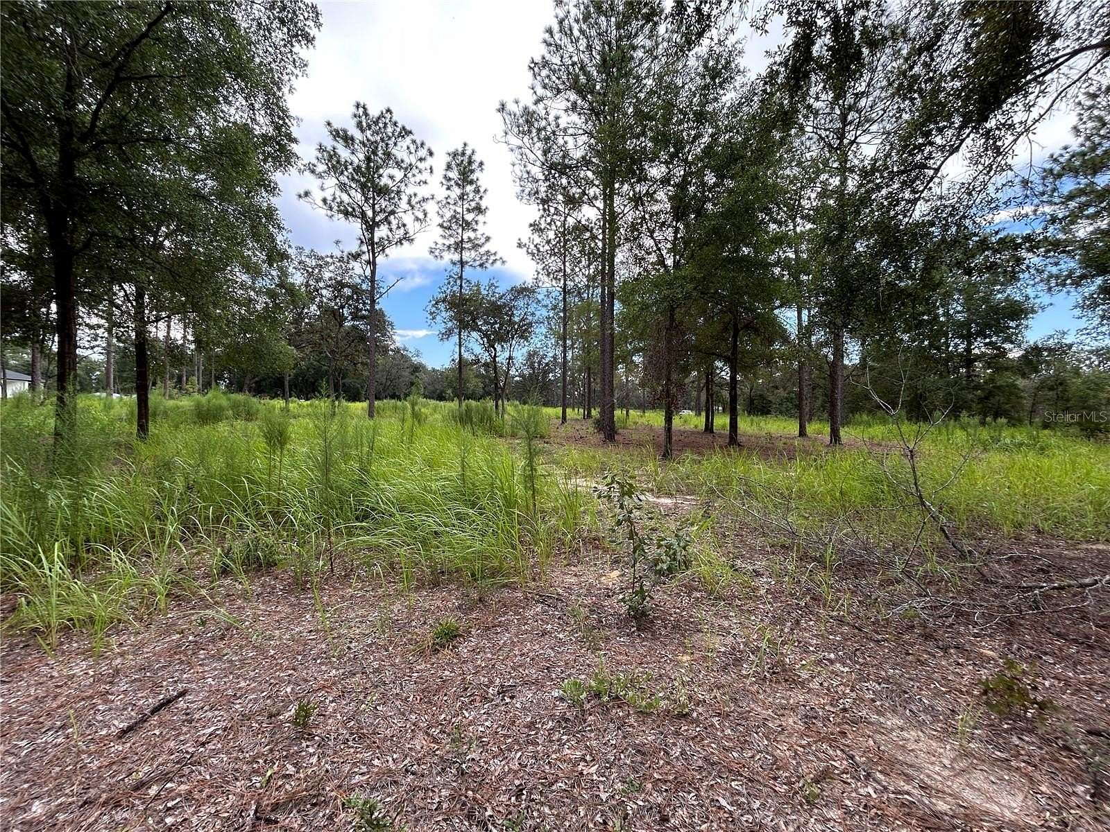 5.32 Acres of Land for Sale in Ocala, Florida