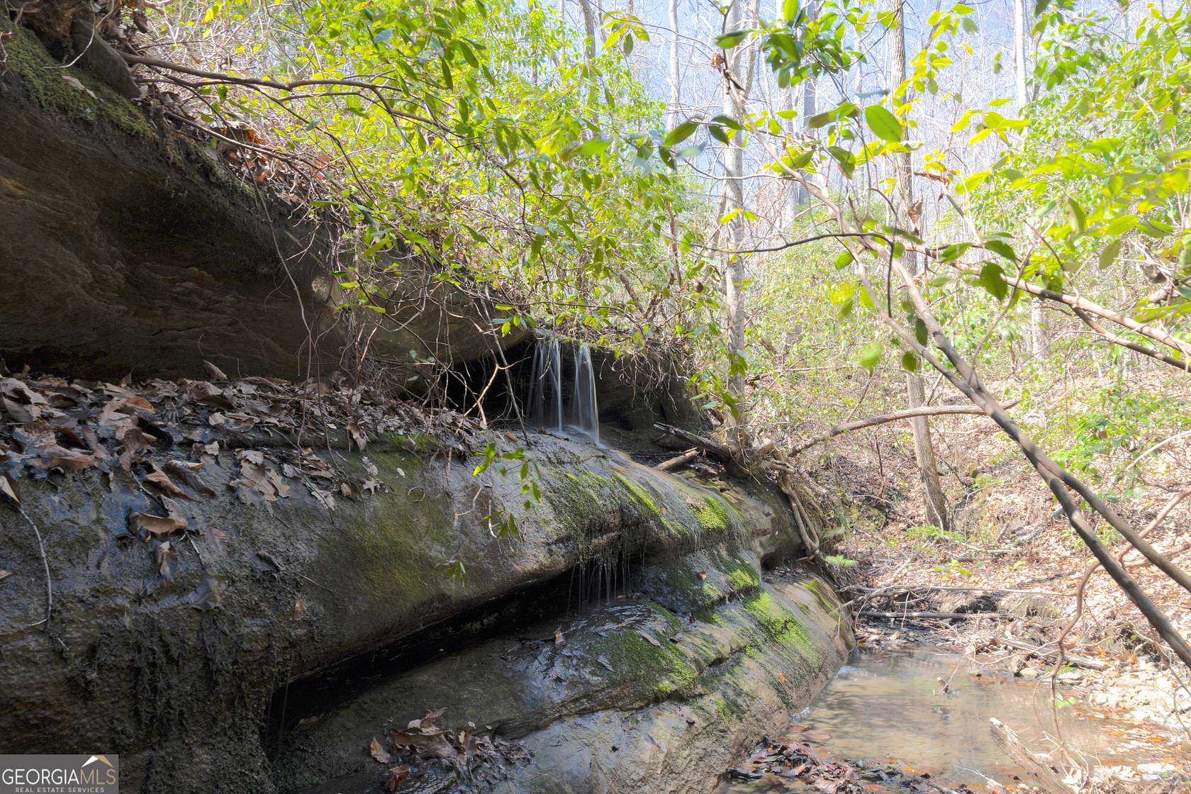 109 Acres of Recreational Land for Sale in Baldwin, Georgia