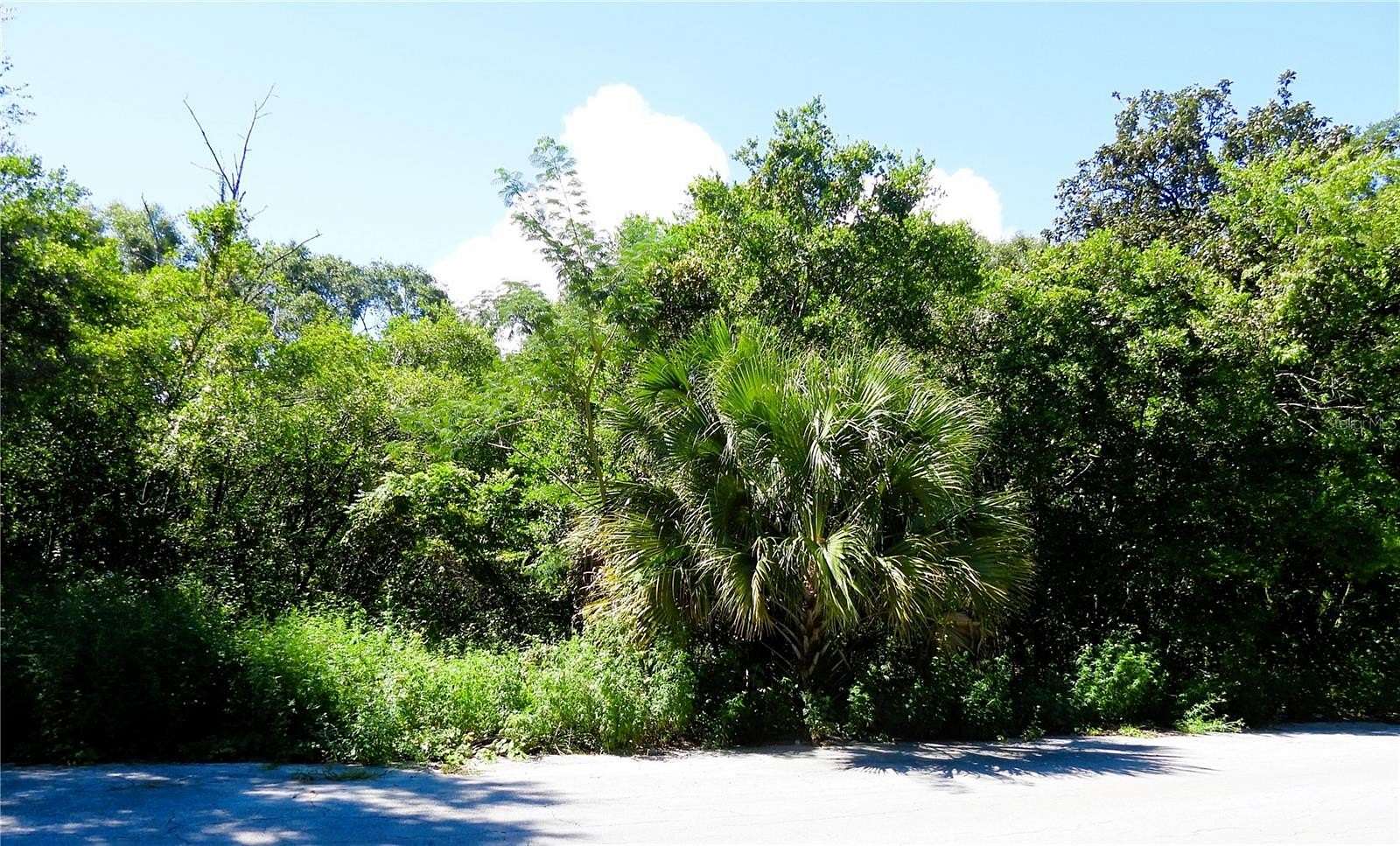 0.14 Acres of Residential Land for Sale in Ocklawaha, Florida