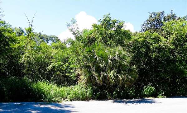 0.14 Acres of Residential Land for Sale in Ocklawaha, Florida