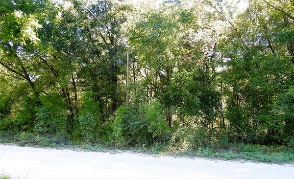 0.23 Acres of Residential Land for Sale in Ocala, Florida