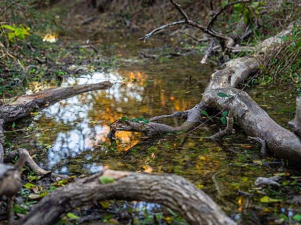 10 Acres of Recreational & Residential Land for Sale in Fredericksburg, Texas